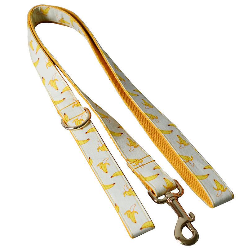 Fruitful Adventures Dog Leash Pet Collar-4