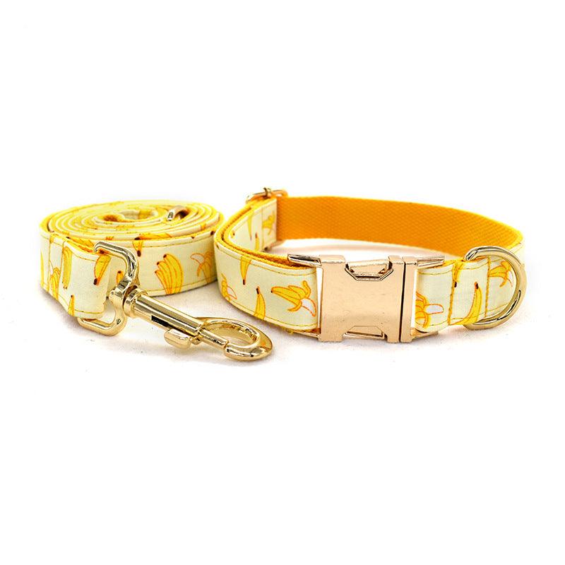 Fruitful Adventures Dog Leash Pet Collar-1