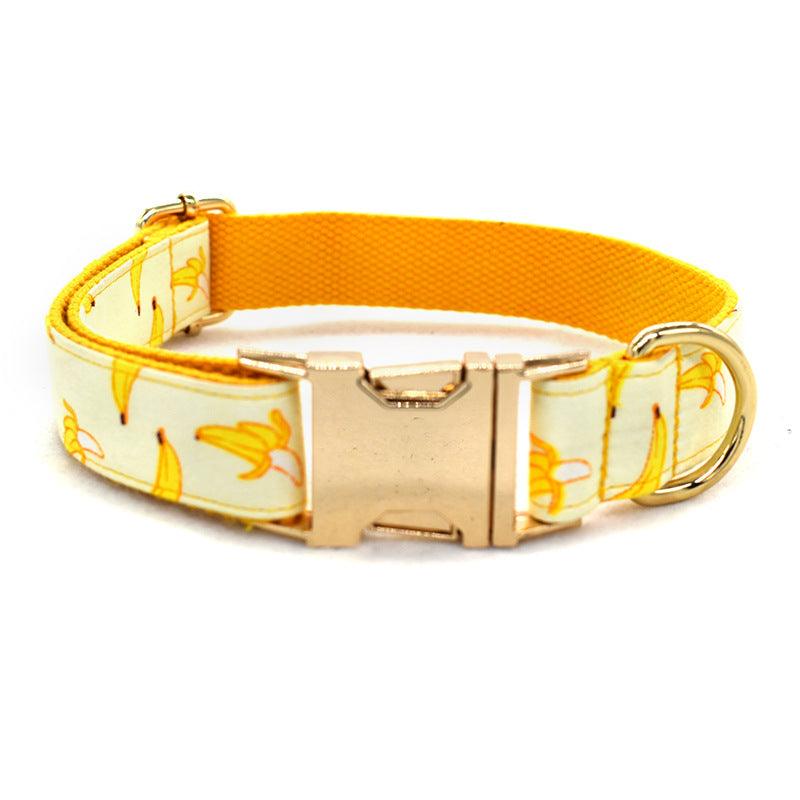 Fruitful Adventures Dog Leash Pet Collar-0