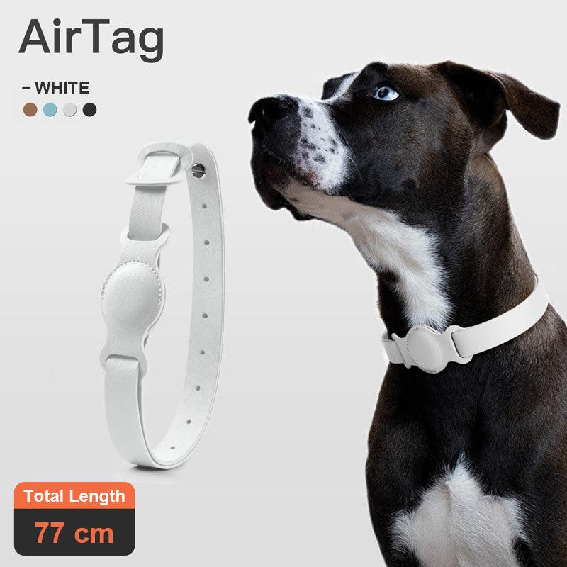 Petsafe Leather Anti-Lost Device Collar Chain - Stylish Protection For Your Furry Friend-2