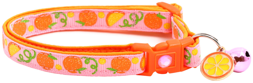 Oranges Breakaway Cat Collar-29