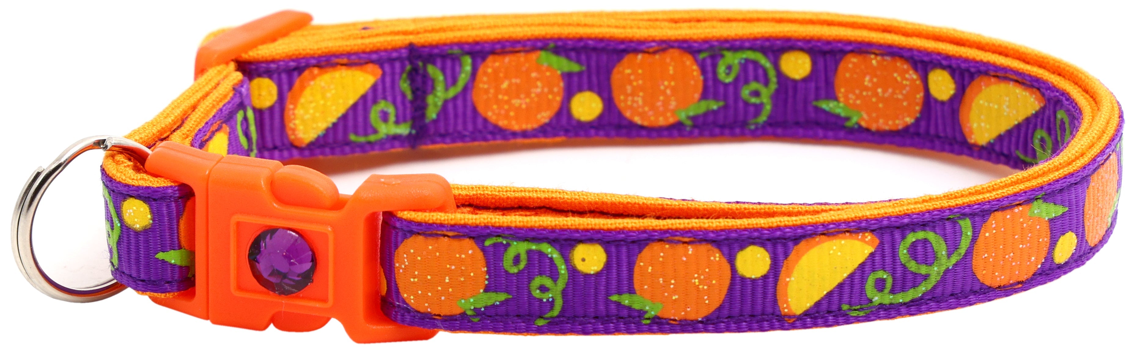 Oranges Breakaway Cat Collar-36