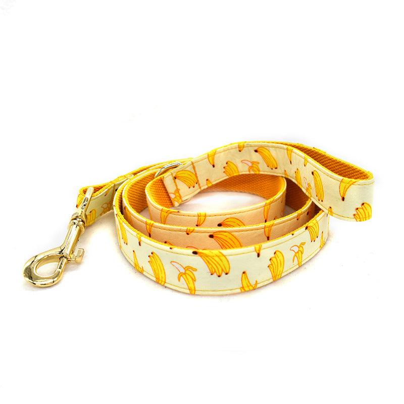 Fruitful Adventures Dog Leash Pet Collar-3