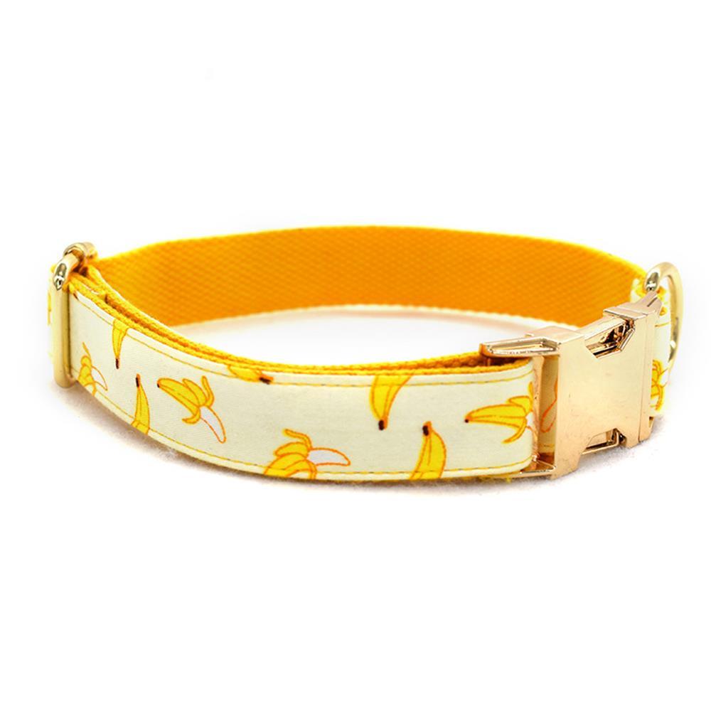 Fruitful Adventures Dog Leash Pet Collar-2