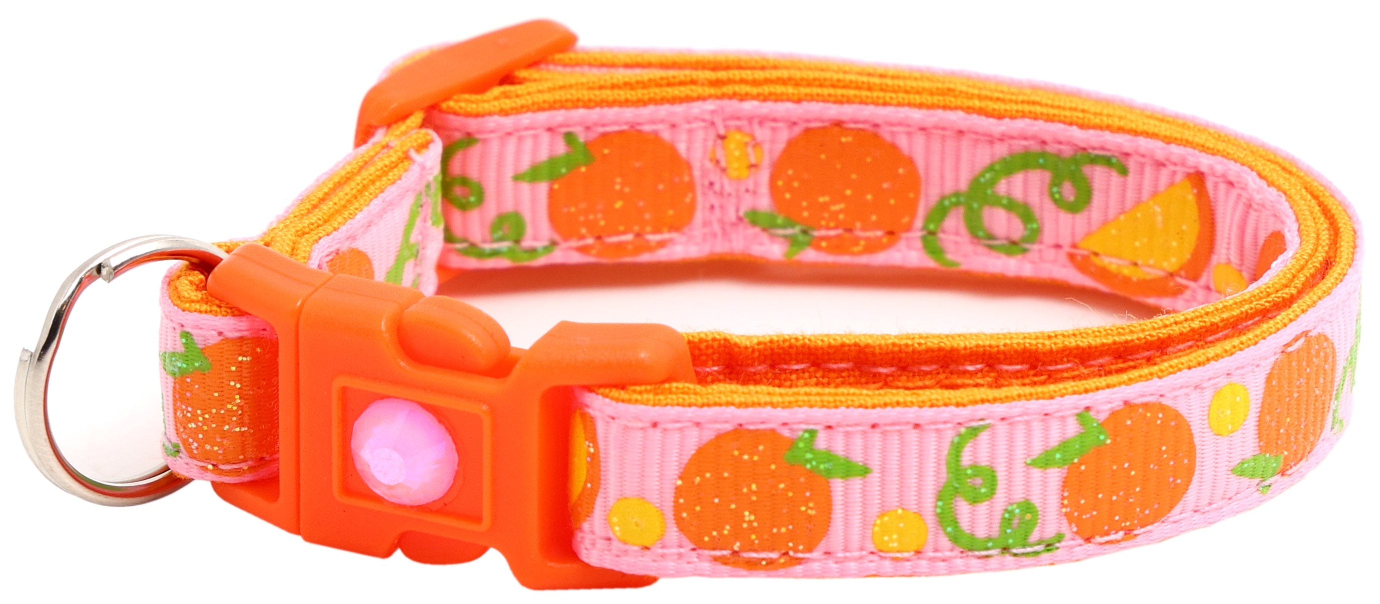 Oranges Breakaway Cat Collar-34