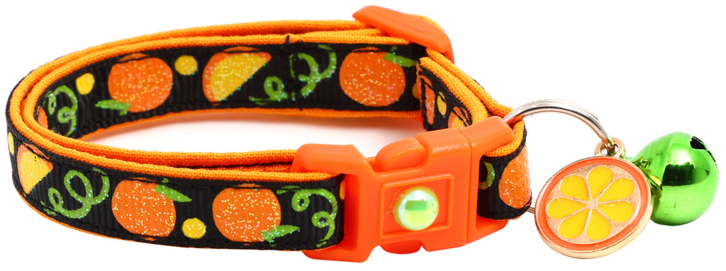 Oranges Breakaway Cat Collar-26