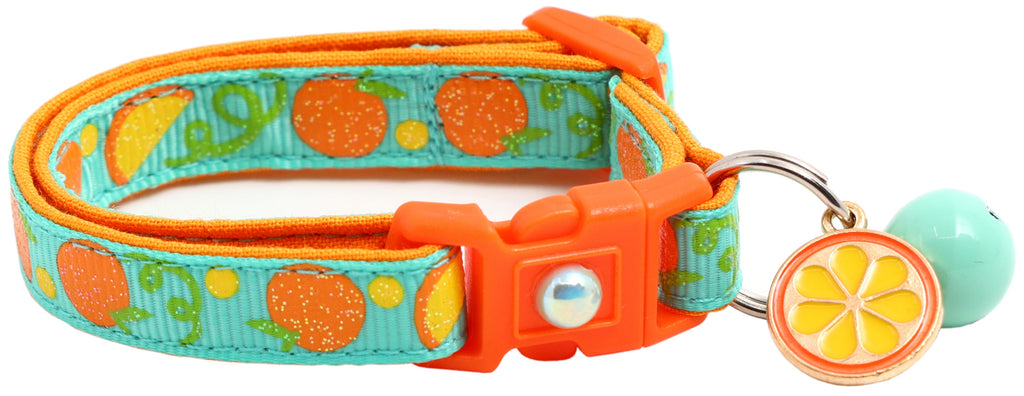 Oranges Breakaway Cat Collar-24